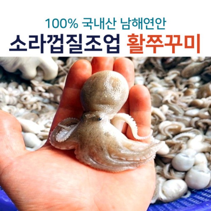 국내산 남해안 활쭈꾸미 쭈꾸미 주꾸미 1kg, 쭈꾸미_1kg