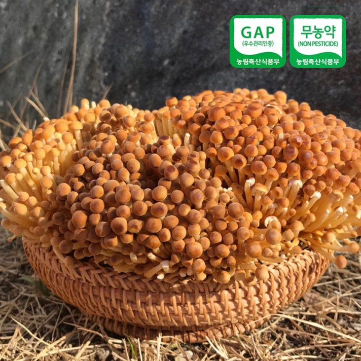 황금팽이버섯 황색 갈색 팽이버섯 국내산 무농약 GAP 1kg 2.5kg (택1) 산지직송 맛남의광장, 250g x 4팩