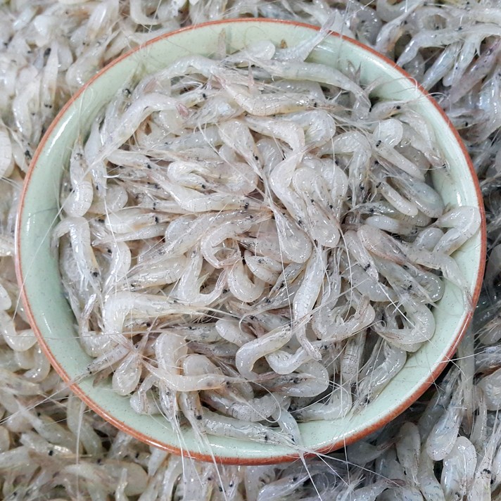 국산민물새우1kg 새우탕 새뱅이찌개 새우튀김, 민물새우(새뱅이) 500g