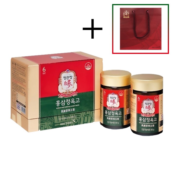 정관장 홍삼 정옥고 250g 2병 + 정품 쇼핑백, 500g, 1세트