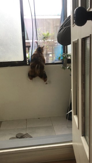 갤러리 이미지
