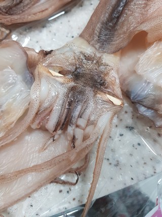 갤러리 이미지