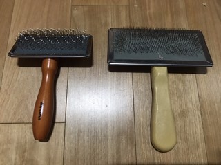 갤러리 이미지