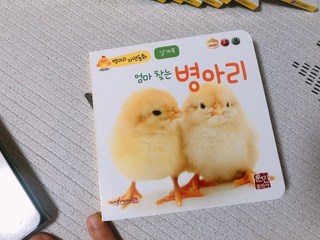 갤러리 이미지