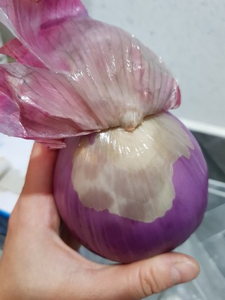 갤러리 이미지