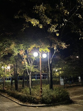 갤러리 이미지