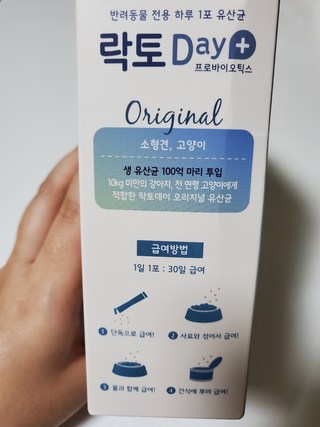 갤러리 이미지