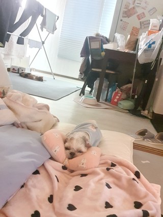갤러리 이미지