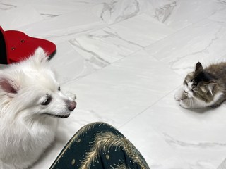 갤러리 이미지