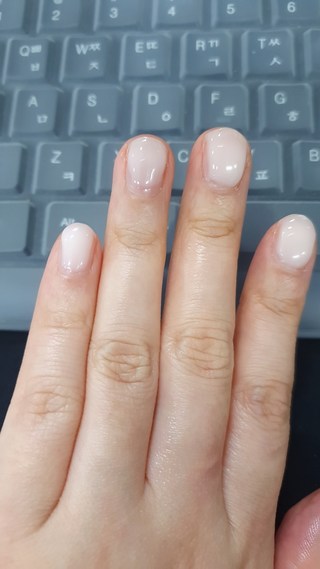 갤러리 이미지