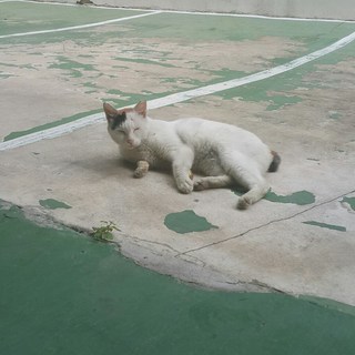 갤러리 이미지