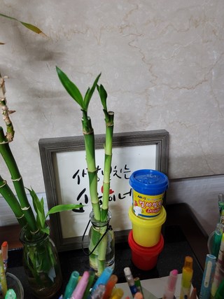 갤러리 이미지