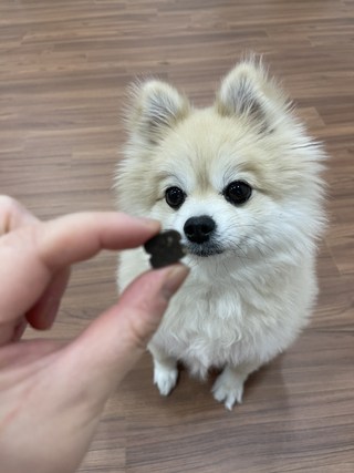 갤러리 이미지