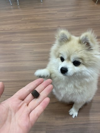 갤러리 이미지