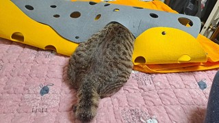 갤러리 이미지