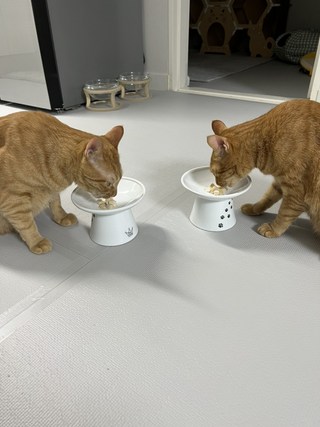 갤러리 이미지