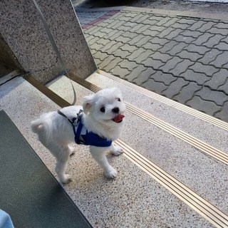 갤러리 이미지