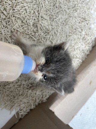 갤러리 이미지