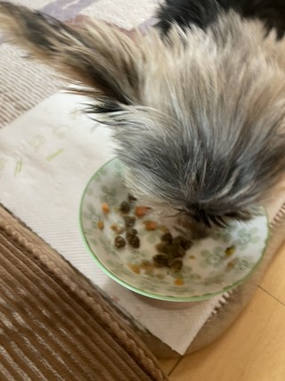 갤러리 이미지