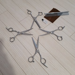 갤러리 이미지