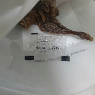 갤러리 이미지