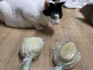 갤러리 이미지