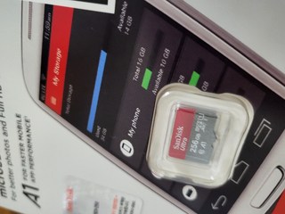 샌디스크 울트라 마이크로SD SDSQUAR, 256GB 이미지