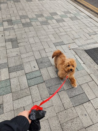 갤러리 이미지