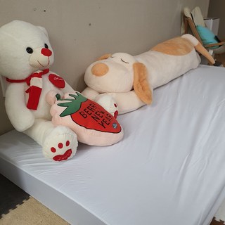 갤러리 이미지