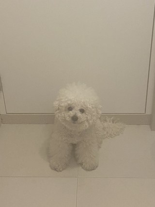 갤러리 이미지