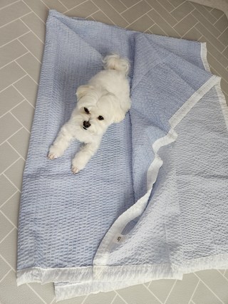 갤러리 이미지