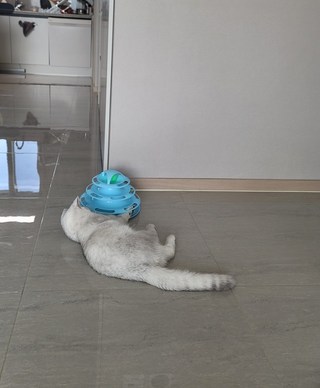 갤러리 이미지