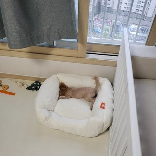 갤러리 이미지