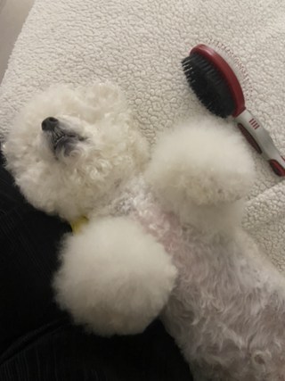 갤러리 이미지