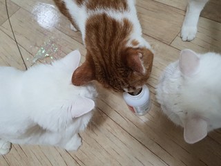 갤러리 이미지