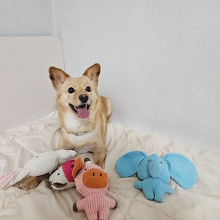 갤러리 이미지