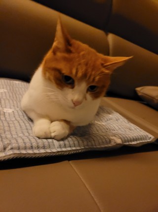 갤러리 이미지