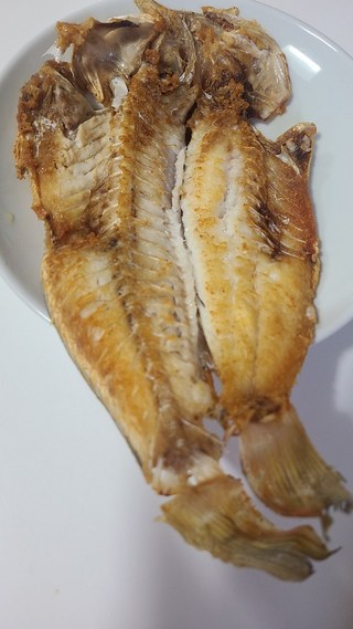 갤러리 이미지
