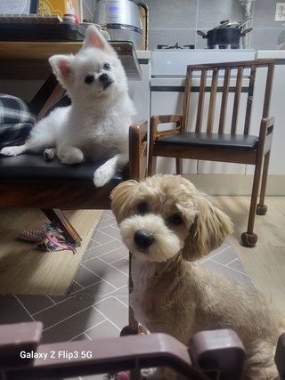 갤러리 이미지