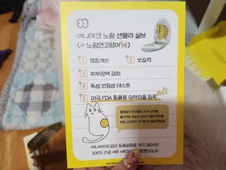 갤러리 이미지