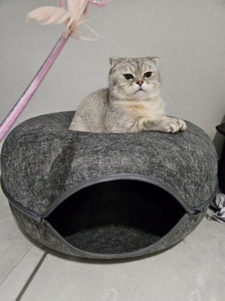 갤러리 이미지