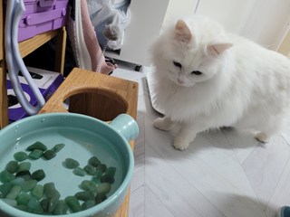 갤러리 이미지