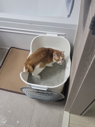 갤러리 이미지