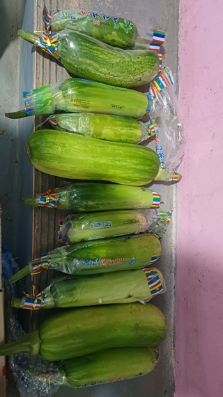 갤러리 이미지