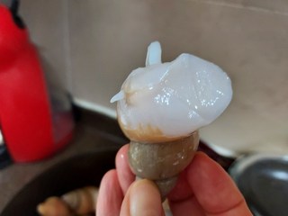 갤러리 이미지