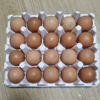 갤러리 이미지