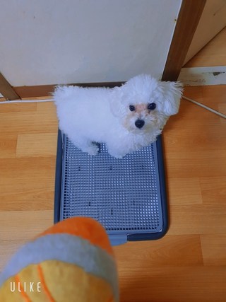 갤러리 이미지