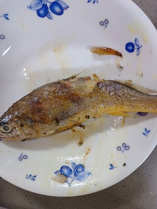 갤러리 이미지