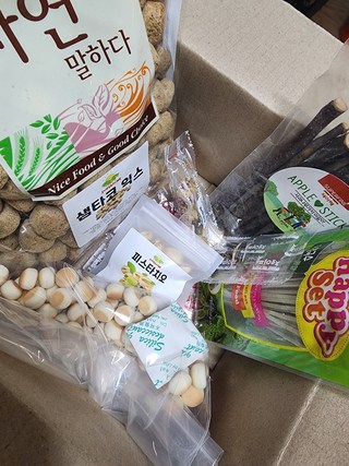 갤러리 이미지