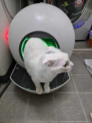 갤러리 이미지